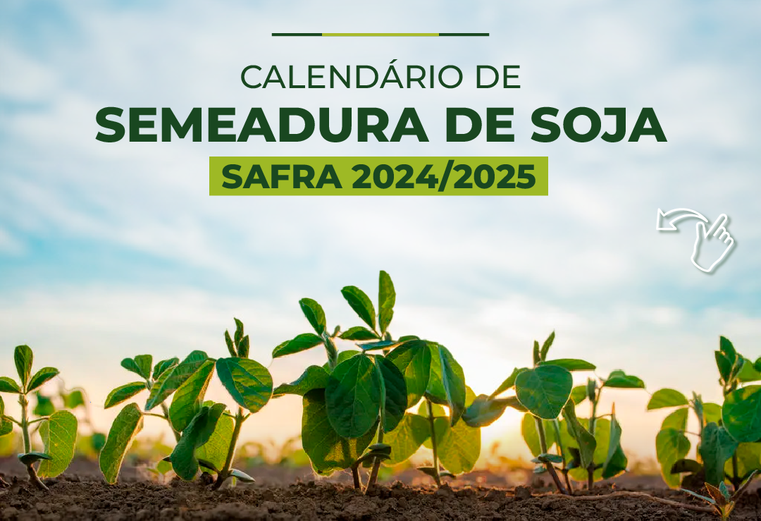 Calendário de Semeadura de Soja para safra 2024/25