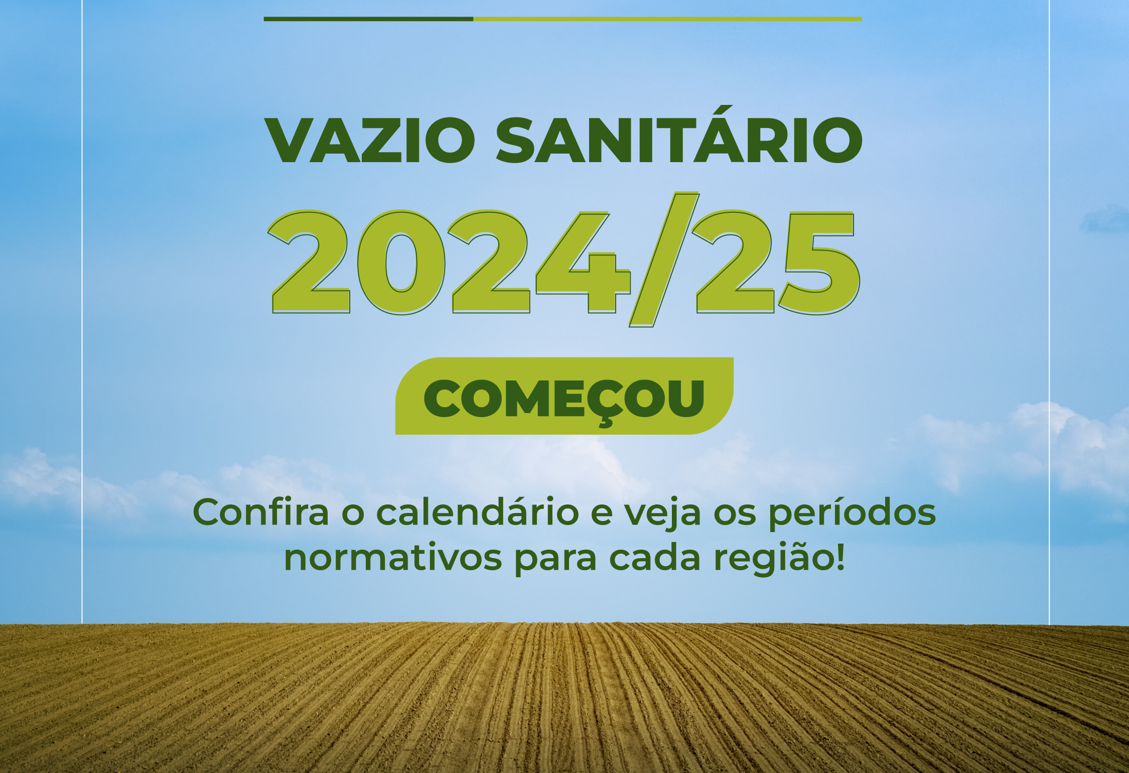 Vazio Sanitário da soja para 2024